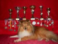 /album/foto-s-cenami-za-agility-sezonu-2011-a-2012/foceni-jerry-a-impik-132-jpg/